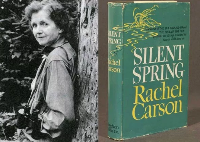 《寂靜的春天》英文版,蕾切爾·卡遜著