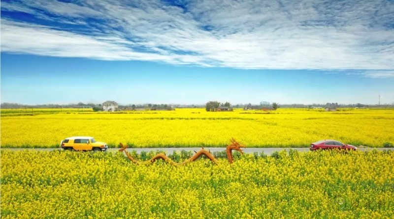 智慧農(nóng)業(yè)前景好,可為啥農(nóng)民用得少?