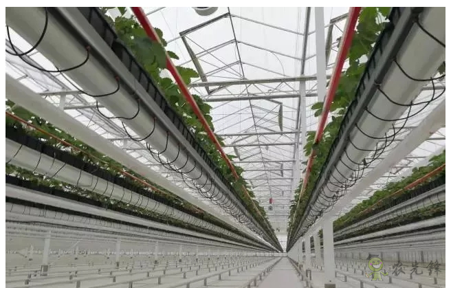 農(nóng)民承擔(dān)得起農(nóng)業(yè)物聯(lián)網(wǎng)造價嗎