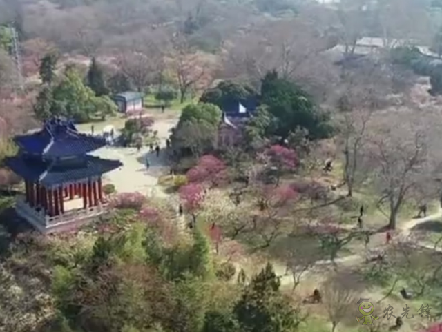 樊祥成:新冠肺炎疫情給農業農村發展帶來的困難只是暫時的
