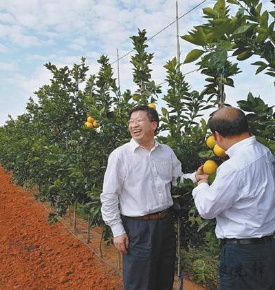 國家現代農業(柑橘)首席科學家鄧秀新數十年助力農民增收