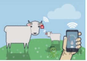 物聯(lián)網(wǎng)應用在農(nóng)業(yè)領(lǐng)域中的價值探討