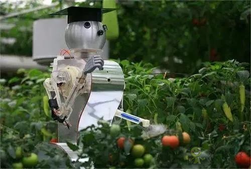 農業機器人走進果園