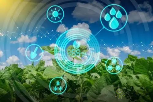 數(shù)字農(nóng)業(yè)的發(fā)展趨勢(shì)與推進(jìn)路徑