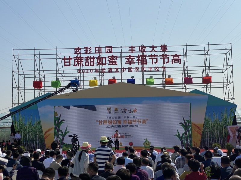 天津武清:都市型現代農業展現豐收新圖景