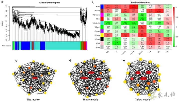 西瓜為什么這樣甜？