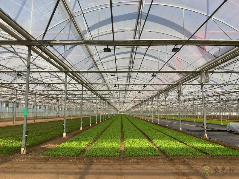 現(xiàn)代農業(yè)