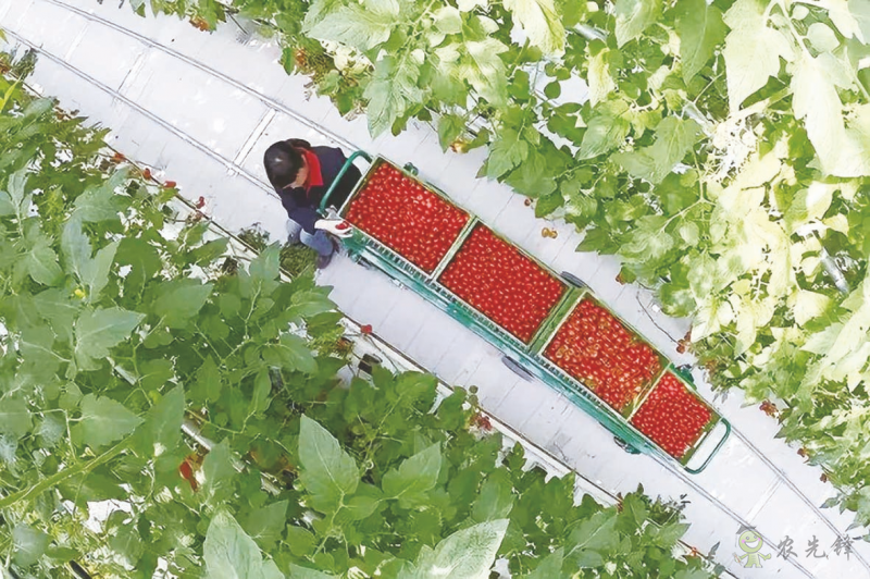 農(nóng)業(yè)科普