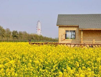 8種最新的農業模式，哪一個會成為下一個“農業風口”呢?