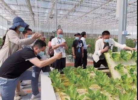 ?鄉村振興,壽光答卷