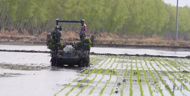 為什么要使用智能農機?