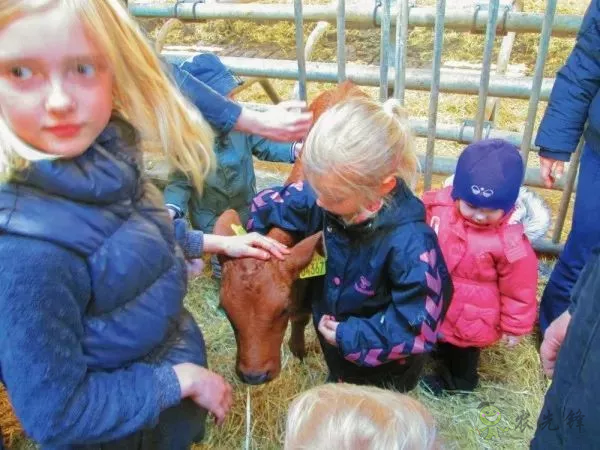 有機農業(yè)的全球典范:丹麥經驗