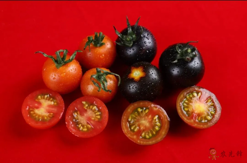 先正達集團中國總裁覃衡德:數字化為現代農業提供了無限可能