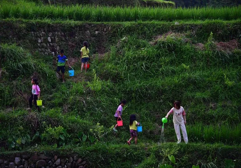 賀雪峰:未來 15 年, 鄉(xiāng)村振興關(guān)鍵在保底