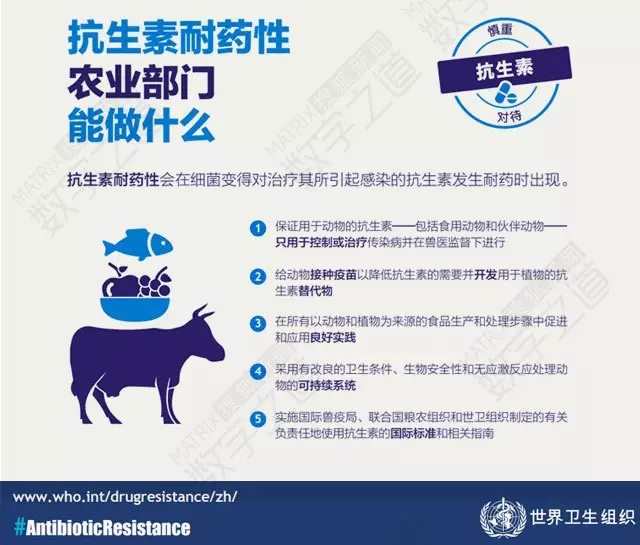 “抗生素肉”擺滿中國人餐桌,豬肉含量居然是牛肉的5倍!
