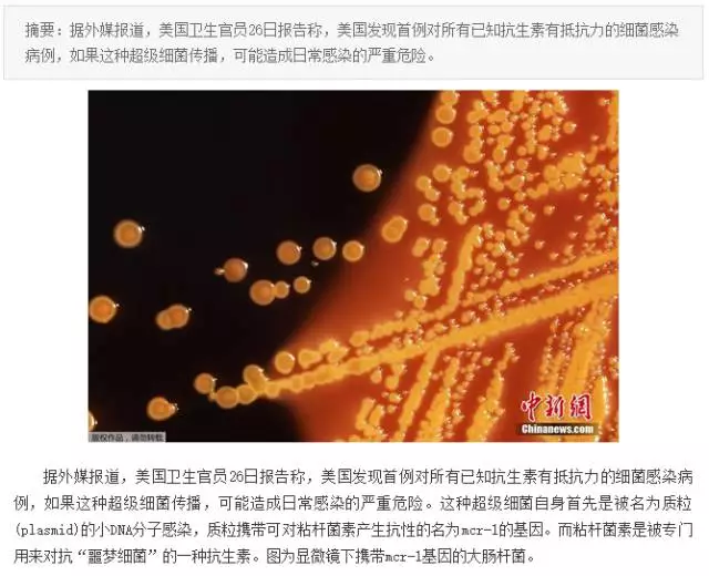 “抗生素肉”擺滿中國人餐桌,豬肉含量居然是牛肉的5倍!