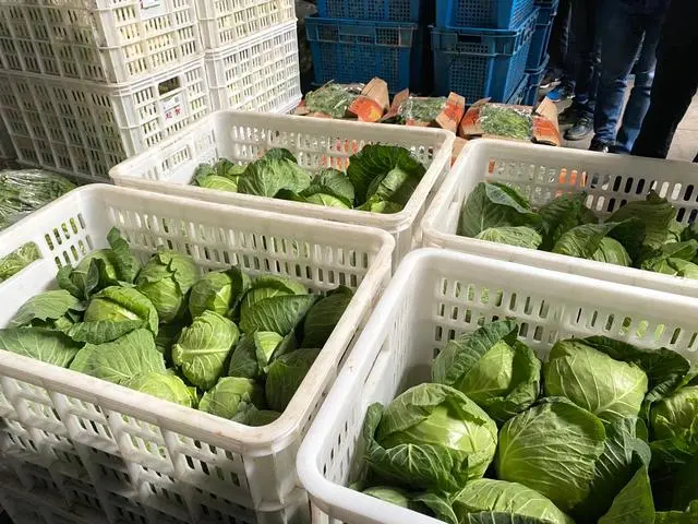 江蘇:全省“一張網(wǎng)”,兜牢農(nóng)產(chǎn)品質(zhì)量