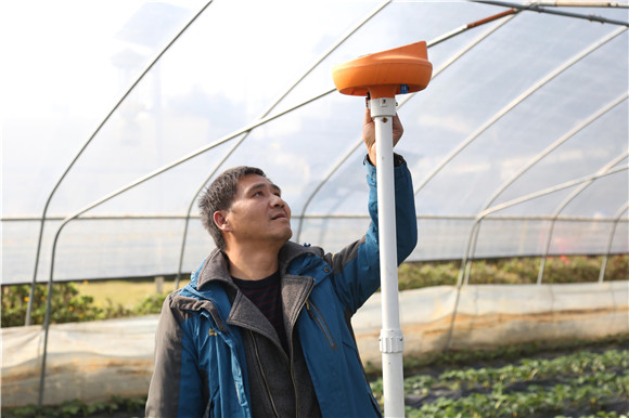 楊家全查看大棚內(nèi)控智能設(shè)備運行情況