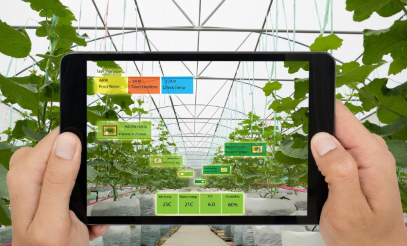 農業物聯網是什么?對農業的好處到底在哪里?
