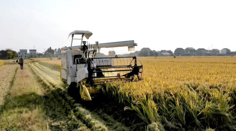 豐疆智能：加速落地“無人農場”，賦能鄉村振興！