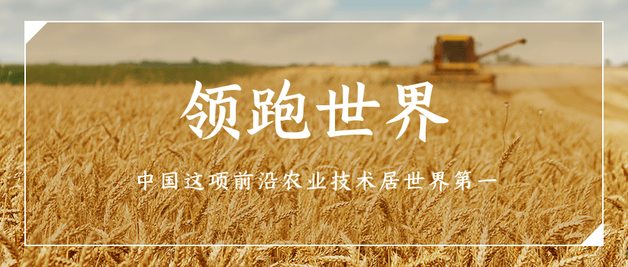 領跑世界:中國這項前沿農業技術居世界第一