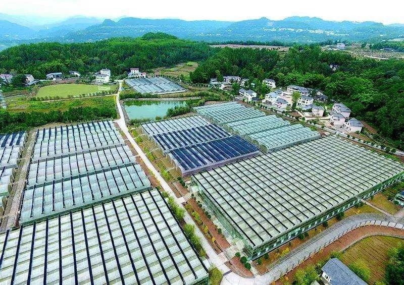 國家現(xiàn)代農(nóng)業(yè)產(chǎn)業(yè)園發(fā)展的新思路與新舉措