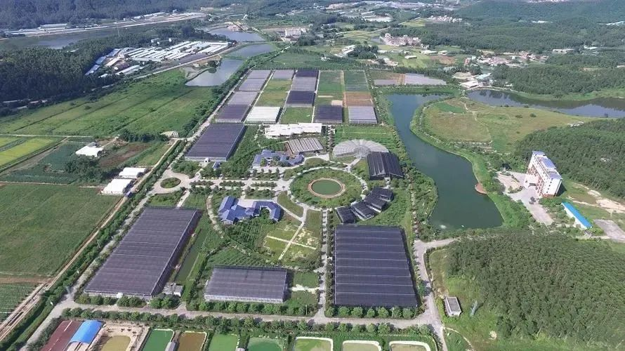 國家現(xiàn)代農(nóng)業(yè)產(chǎn)業(yè)園發(fā)展的新思路與新舉措