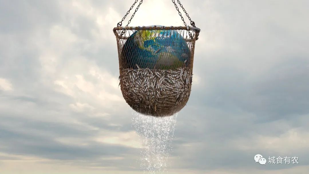 拯救不了地球！給替代蛋白挑“硬傷”的報(bào)告