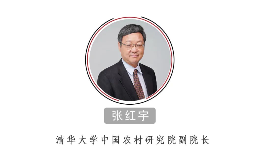 張紅宇：中國的糧食供給安全嗎？絕對(duì)沒有問題！