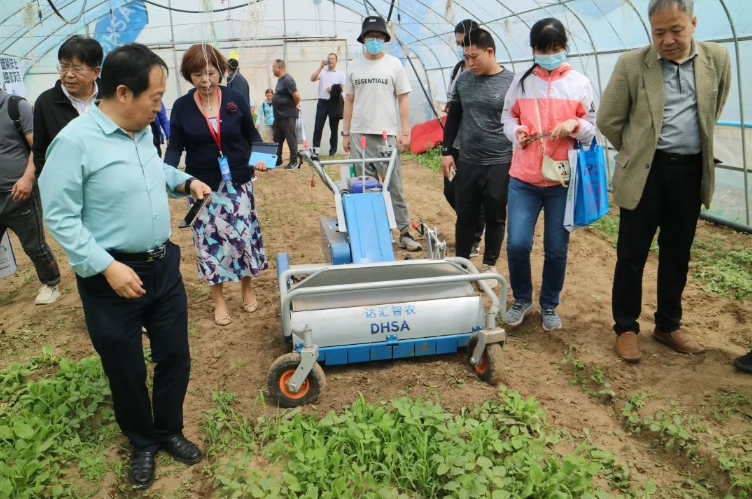 農(nóng)機(jī)地頭展——2023年北方設(shè)施葉菜生產(chǎn)全程機(jī)械化專題演示展示活動(dòng)成功舉辦