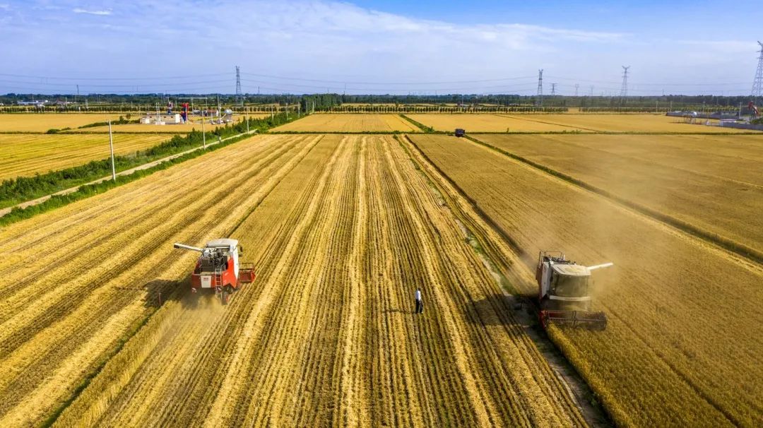 中國(guó)農(nóng)學(xué)會(huì)發(fā)布“36條農(nóng)業(yè)農(nóng)村重大科學(xué)命題” 中國(guó)農(nóng)學(xué)會(huì)發(fā)布“36條農(nóng)業(yè)農(nóng)村重大科學(xué)命題”