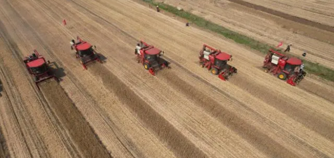 高效減損!智慧農機成為夏收主角 高效減損!智慧農機成為夏收主角