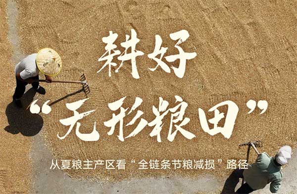 耕好“無(wú)形糧田”——從夏糧主產(chǎn)區(qū)看“全鏈條節(jié)糧減損”路徑 耕好“無(wú)形糧田”——從夏糧主產(chǎn)區(qū)看“全鏈條節(jié)糧減損”路徑
