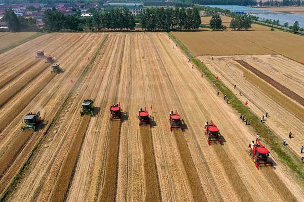 耕好“無(wú)形糧田”——從夏糧主產(chǎn)區(qū)看“全鏈條節(jié)糧減損”路徑 耕好“無(wú)形糧田”——從夏糧主產(chǎn)區(qū)看“全鏈條節(jié)糧減損”路徑