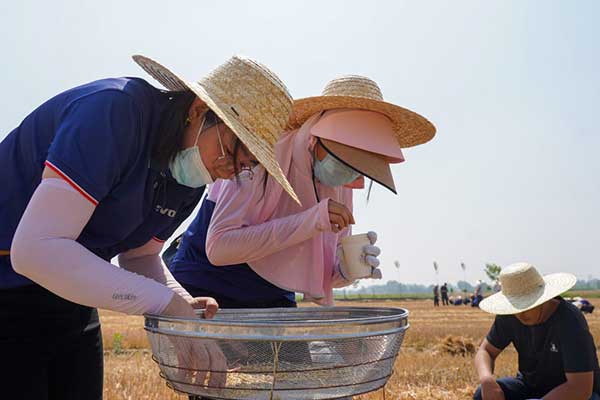 耕好“無(wú)形糧田”——從夏糧主產(chǎn)區(qū)看“全鏈條節(jié)糧減損”路徑 耕好“無(wú)形糧田”——從夏糧主產(chǎn)區(qū)看“全鏈條節(jié)糧減損”路徑