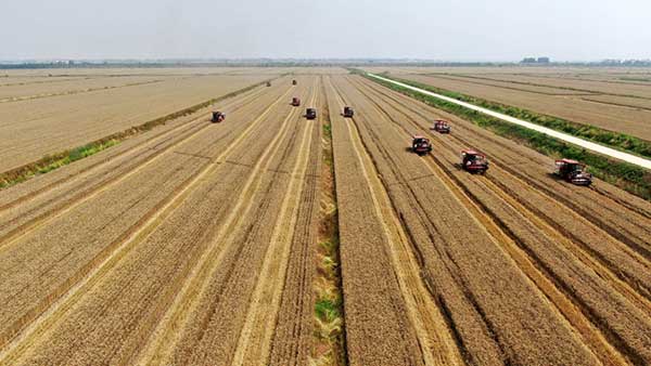 耕好“無(wú)形糧田”——從夏糧主產(chǎn)區(qū)看“全鏈條節(jié)糧減損”路徑 耕好“無(wú)形糧田”——從夏糧主產(chǎn)區(qū)看“全鏈條節(jié)糧減損”路徑