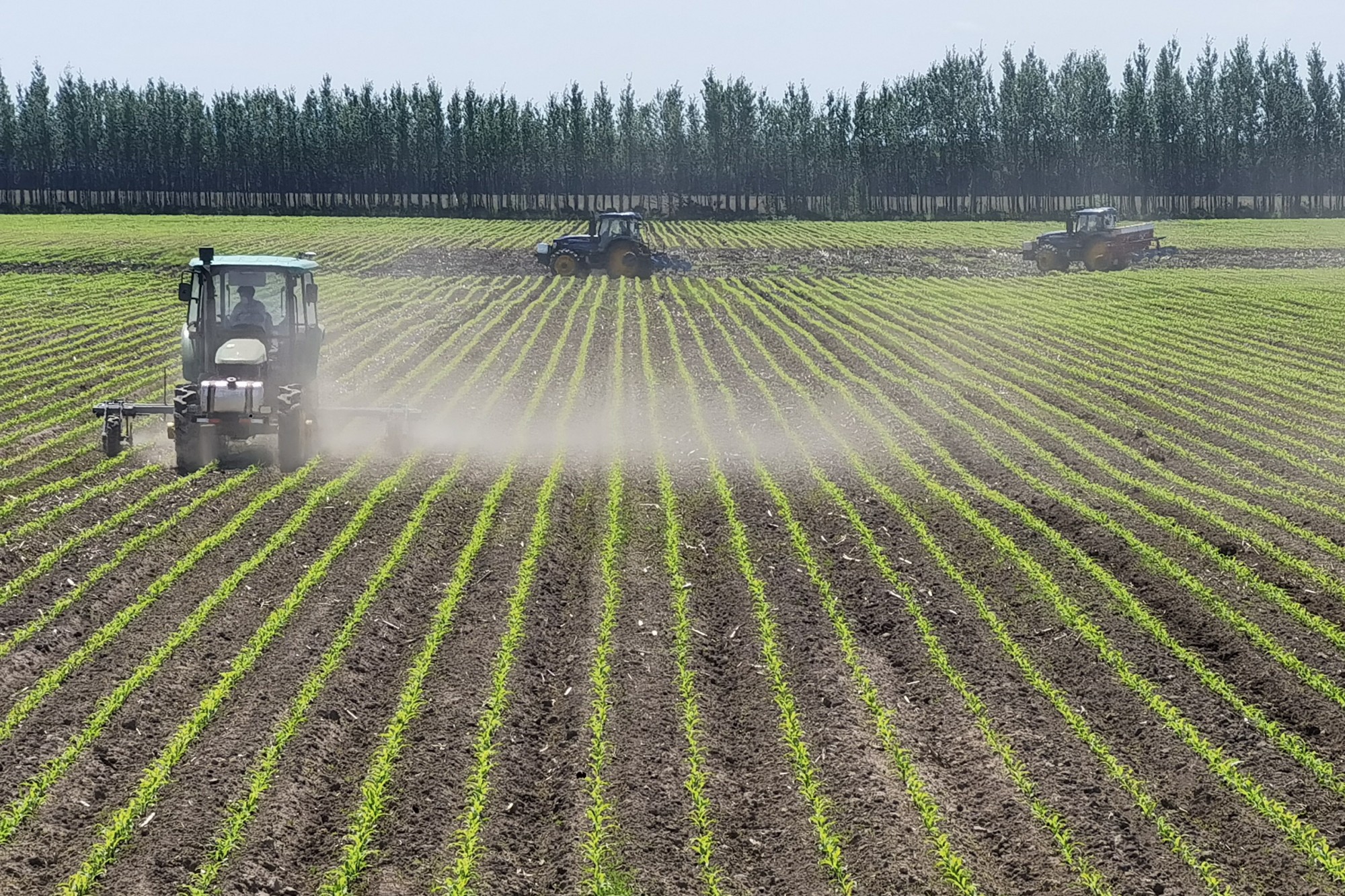 節(jié)糧減損,北大荒踏實(shí)做好第一步 節(jié)糧減損,北大荒踏實(shí)做好第一步