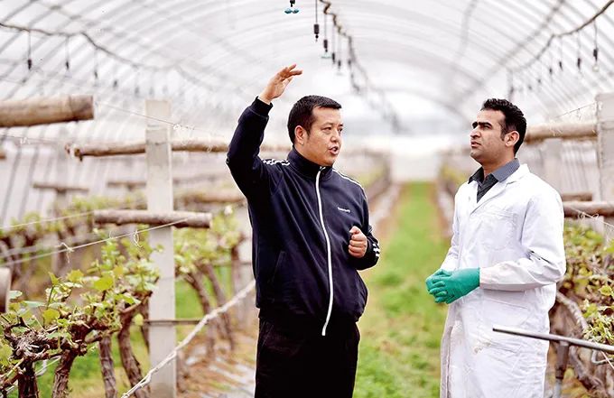 楊凌農高區:中國現代農業的“支點” 楊凌農高區:中國現代農業的“支點”