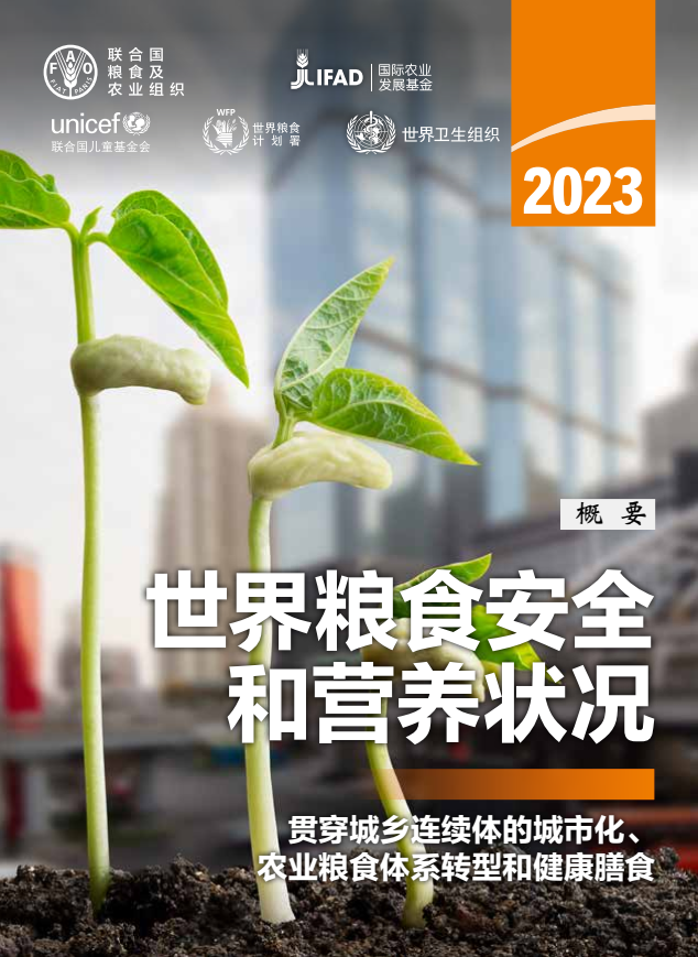 聯(lián)合國(guó)發(fā)布《2023年世界糧食安全和營(yíng)養(yǎng)狀況》報(bào)告：2019年以來(lái)，全球新增1.22億饑餓人口