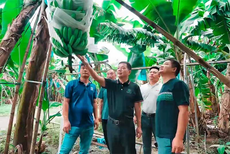 菌肥時代來了！治理土壤“疑難雜癥”引領綠色農業新風尚