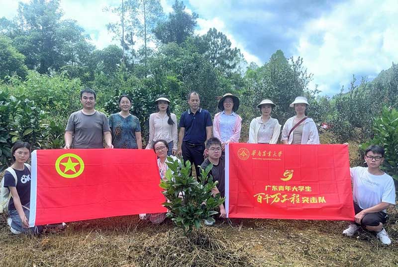菌肥時代來了！治理土壤“疑難雜癥”引領綠色農業新風尚