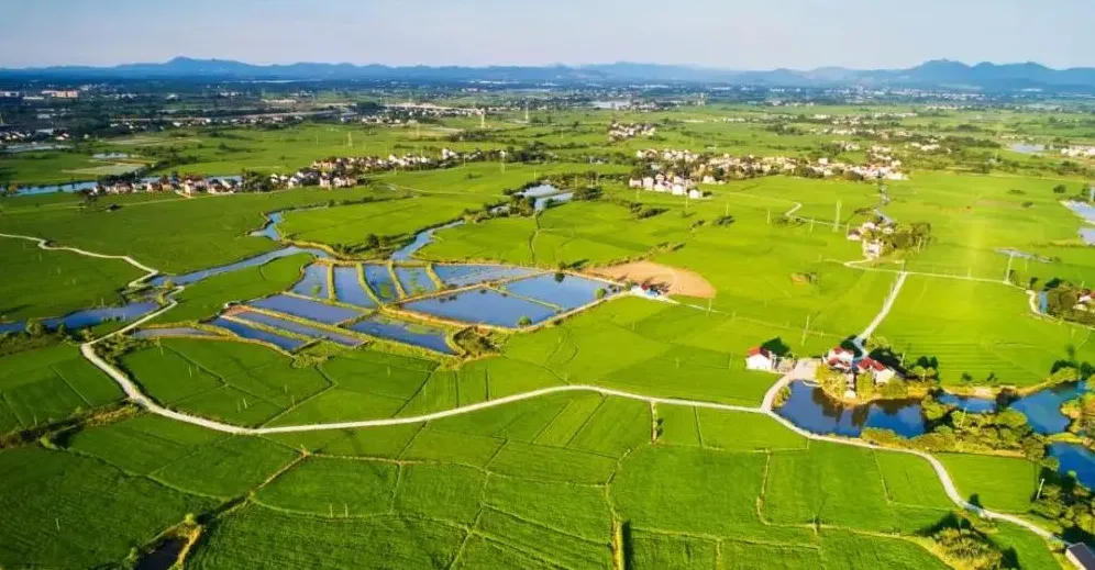 經濟日報:金融加快賦能鄉村振興 經濟日報:金融加快賦能鄉村振興