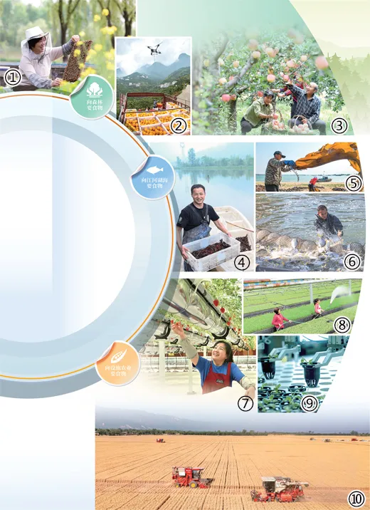 向新 向綠！我國農業綠色發展水平穩步提升